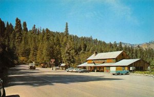 SOUTH FORK LODGE Lowman, Idaho Roadside Gas Station c1960s Vintage Postcard