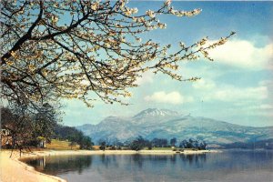 uk46855 loch lomond and ben lomond from luss dunbartonshire scotland uk