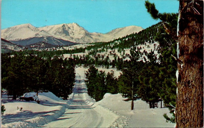 Colorado - Snow Covered Mummy Range - [CO-444]