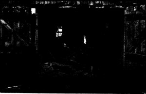 Postcard SHOP SCENE Springfield Illinois IL AK2478