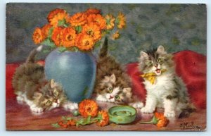 D. MERLIN Artist Signed FLUFFY KITTENS PLAYING Cats Stehli Switzerland Postcard