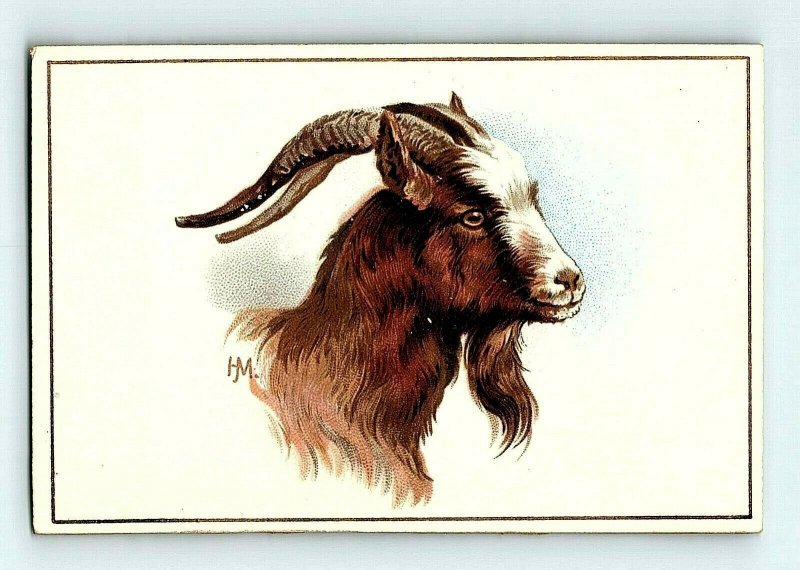 1880's-90's Victorian Card Adorable Goat P158