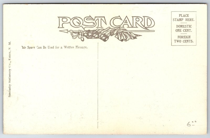 Raton New Mexico~Court House Below Goat Hill Empire Steam Laundry~1908 Haffner