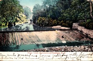 New York Frankfort Moyer Creek In Summertime 1910