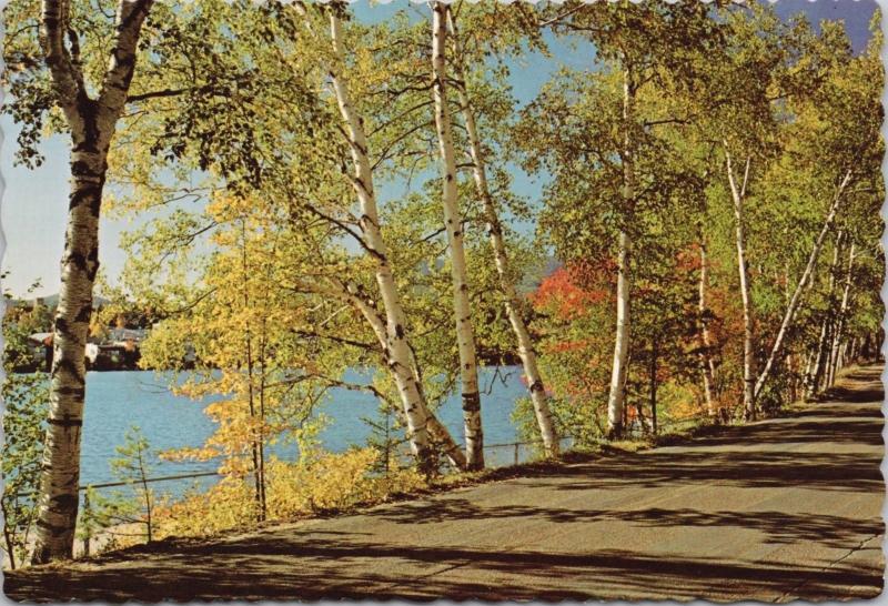 Mirror Lake Drive Lake Placid New York NY Autumn Adirondacks Postcard D52