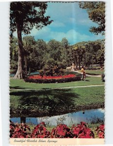 Postcard Beautiful Florida's Silver Springs, Florida