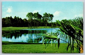 Walt Disney World~Palm Course @ Walt Disneyworld Golf Club~Vintage Postcard