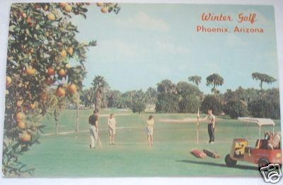 PHOENIX AZ-WINTER GOLF POSTCARD