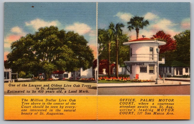 St Augustine Florida Million Dollar Live Oak Palms Motor Court Linen Postcard