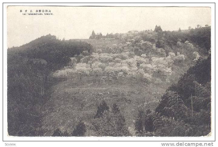 The Yoshinoyama, Yamato, Japan, 1910-1920s