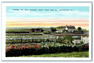 c1920 Number Ten Trail Gardens Henry Field Seed Shenandoah Iowa Vintage Postcard