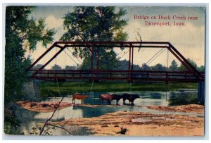 1912 Bridge On Duck Creek Group Of Cows Drink Water Davenport Iowa IA Postcard
