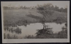 Small Pond, Landscape - RPPC (Velox)