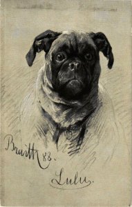 CPA AK Biberach a. d. Riss - Prof. A. Braith-Museum - Dog GERMANY (912972)