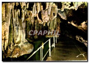 Modern Postcard The Caves of Betharram the H P Renverses Mushrooms