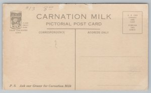 Advertising~Exhibit Palace Front View~Fresh Milk~Vintage Postcard 