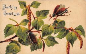 F26/ Insect Bug Pest Comic Postcard 1914 Birthday Fantasy Beetle 25