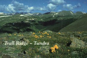 Alpine Tnudra,Trail Ridge,Rocky Mountains National Park