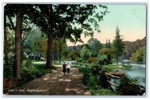 1910 Lover's Lane Vassar College Poughkeepsie New York NY Posted Trees Postcard