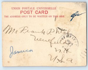 Jamaica Postcard Men Riding Donkey On the Way from Market c1920’s Posted