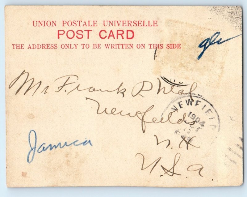 Jamaica Postcard Men Riding Donkey On the Way from Market c1920’s Posted