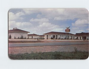 Postcard Longhorn Motor Lodge Sweetwater Texas USA