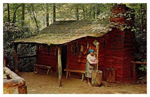 Postcard HOUSE SCENE Cherokee North Carolina NC AP0570