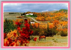 Qu'Appelle Valley, Lumsden Saskatchewan, Fall Colours, Horse Grazing, Postcard