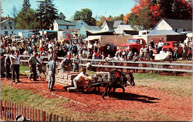 Country Fairs Ponies Pull Horses Oxen Postcard VTG UNP Vintage Unused Chrome 