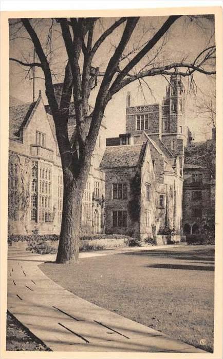 The American Scene, Connecticut, Yale University, New Haven