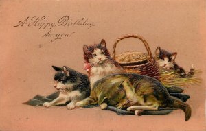 Embossed Postcard PFB Series 8672 Four Kittens Cats Orange White Happy Birthday