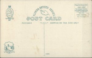 Devil Fish & Men Florida Coast - Fishing Catch c1910 Postcard