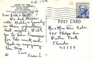 Malibu Sea Lion Malibu CA