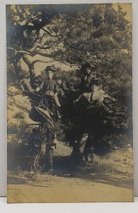 RPPC Woman in a Tree Real Photo Postcard G13