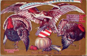 Thanksgiving Greetings Our National Birds Turkeys USA c1908 Postcard F51