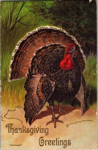 Thanksgiving Greetings, Turkey Embossed Silk Finish Vintage Postcard N76