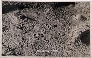 RPPC Boiling Mud Pots - Whaka, New Zealand