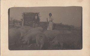 RPPC Postcard Farm scene Women Standing in a Pigpen