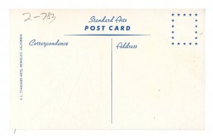 Horses/Equine - War Glory