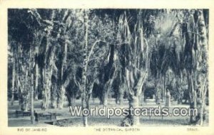 Botanical Garden Rio De Janeiro Brazil Postcard