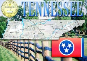 TENNESSEE:  STATE SEAL- FLAG - MAP POSTCARD