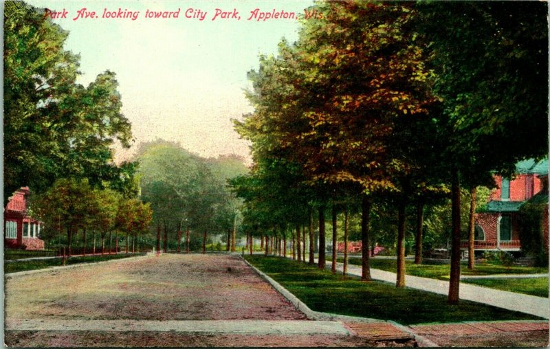 Vtg Cartolina Circa 1908 Park Pavé Ricerchi Toward Città - Appleton, Wisconsin