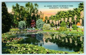 4 Postcards SACRAMENTO, California CA ~ McKINLEY PARK, WM. LAND PARK Views 1940s