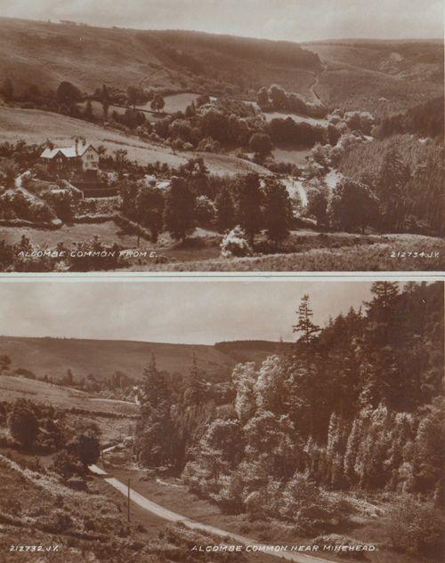 Minehead Alcombe Common  Antique Postcard