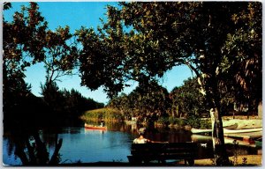 VINTAGE POSTCARD CANOE POND AT THE HUGH TAYLOR BIRCH STATE PARK FORT LAUDERDALE