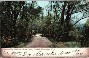 Postcard ROAD SCENE Catskill Mountains New York NY AI3493