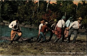 Hunters Hauling Alligators to Camp Panama Vintage Postcard S24