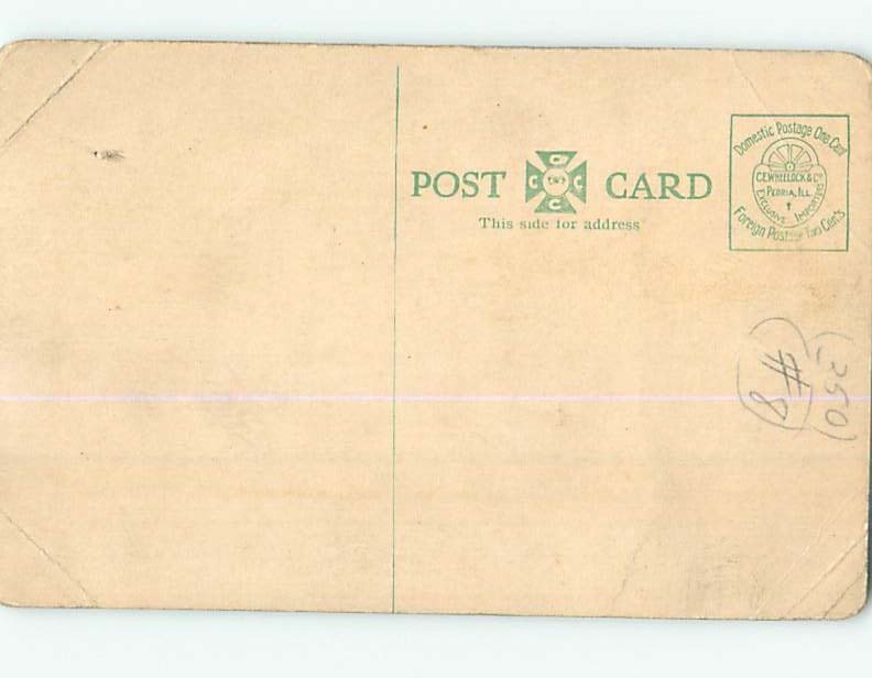 Divided-Back PARK SCENE Peoria Illinois IL H3965