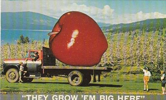 Exageration Large Apple On Truck Greetings From Okanagan Valley British Colum...