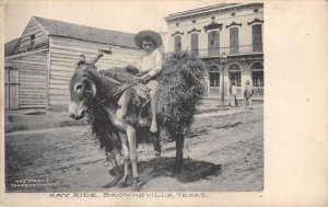 Hay Ride, Brownsville, Texas Boy on Burro ca 1910s Albertype Antique Postcard